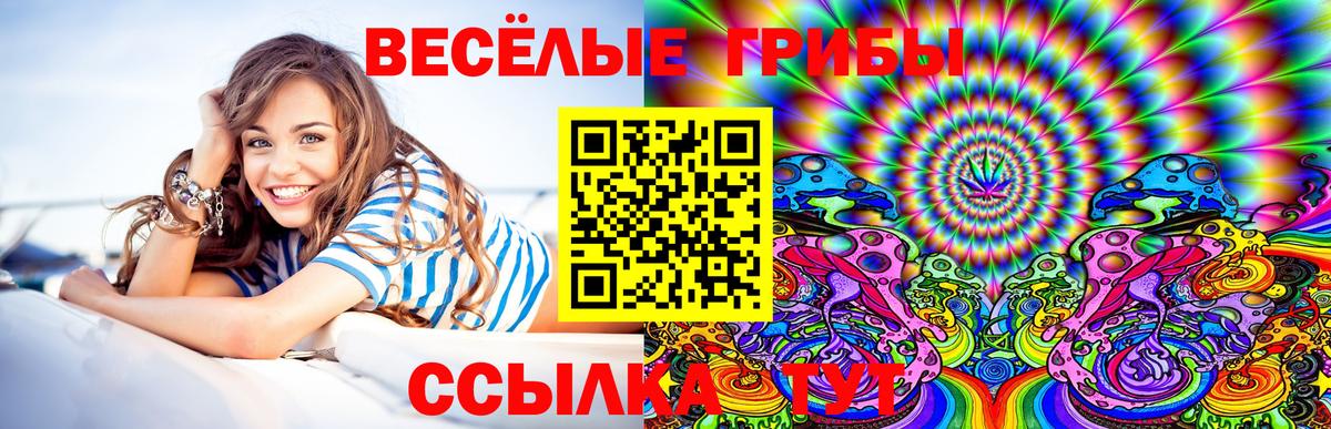 Вязники  Галлюциногенные грибы Psilocybe  Вход с VPN 